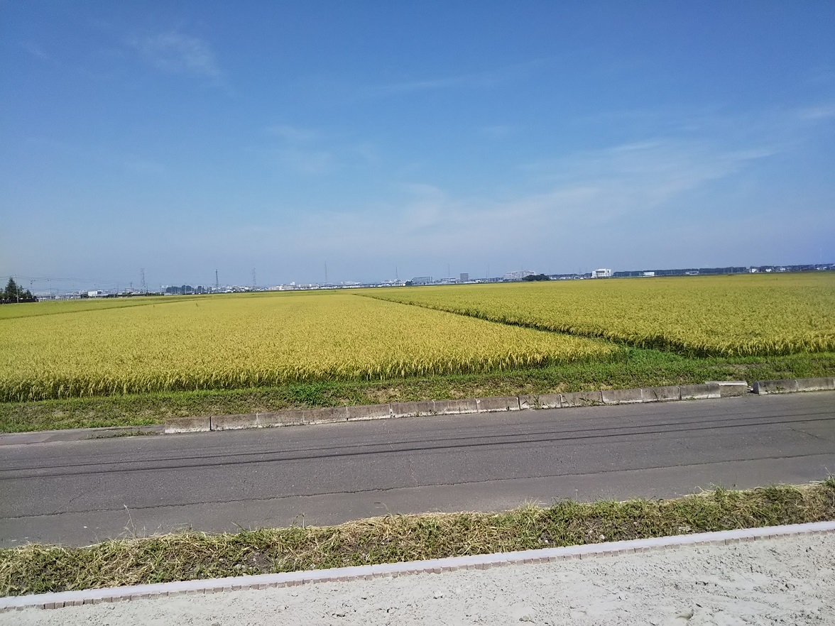 DSC_0552.JPG