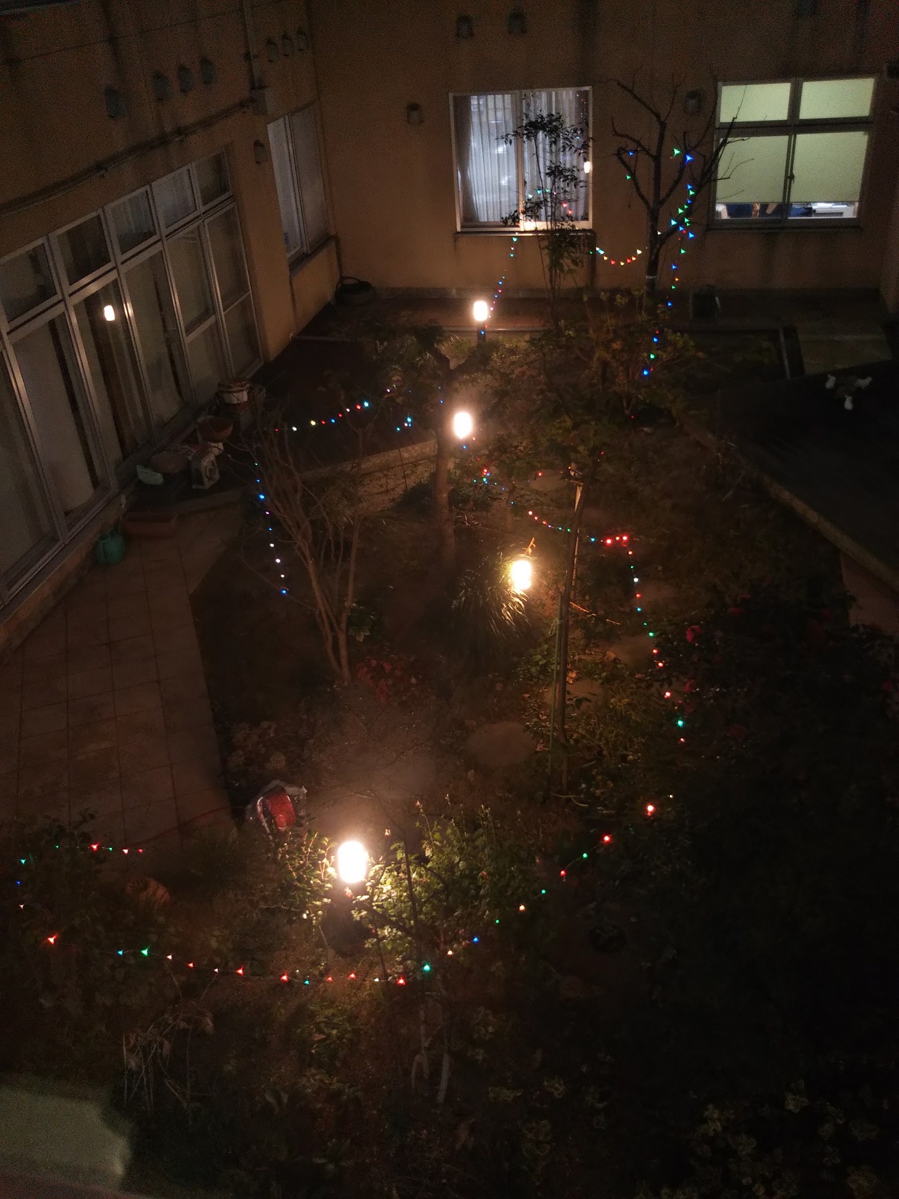 DSC_0679.JPG